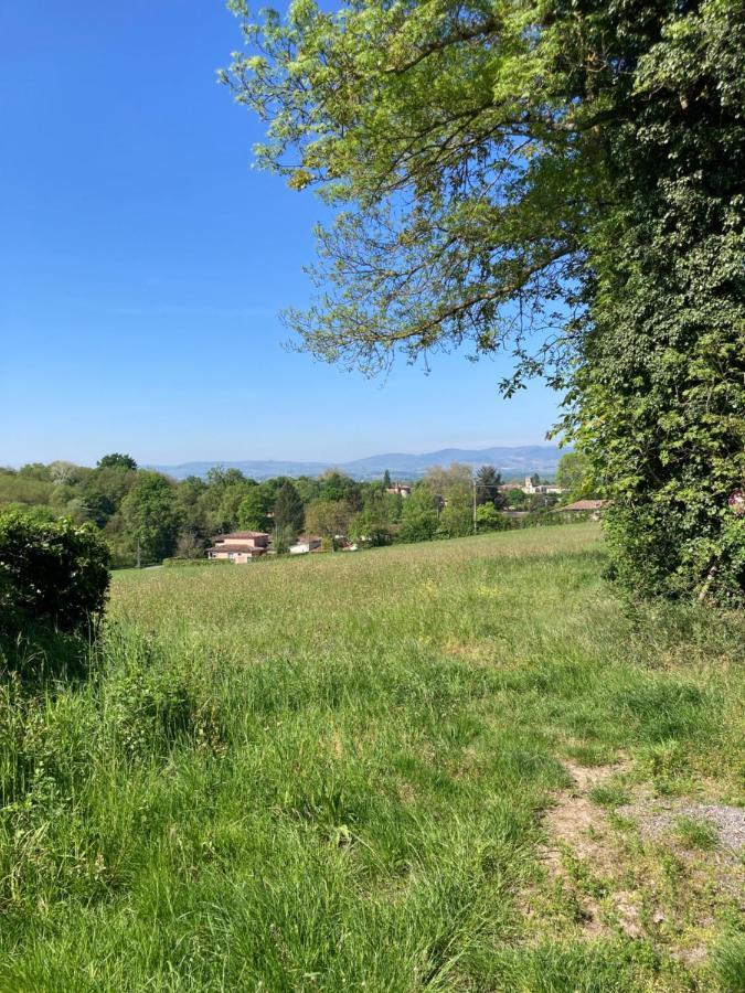 Cosy En Pleine Campagne Messimy-sur-Saone
